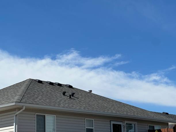 Best Roofing for New Construction  in Yorkshire, VA